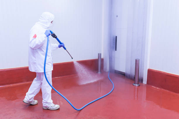 Reliable Lillian, AL Pressure Washing Services Solutions